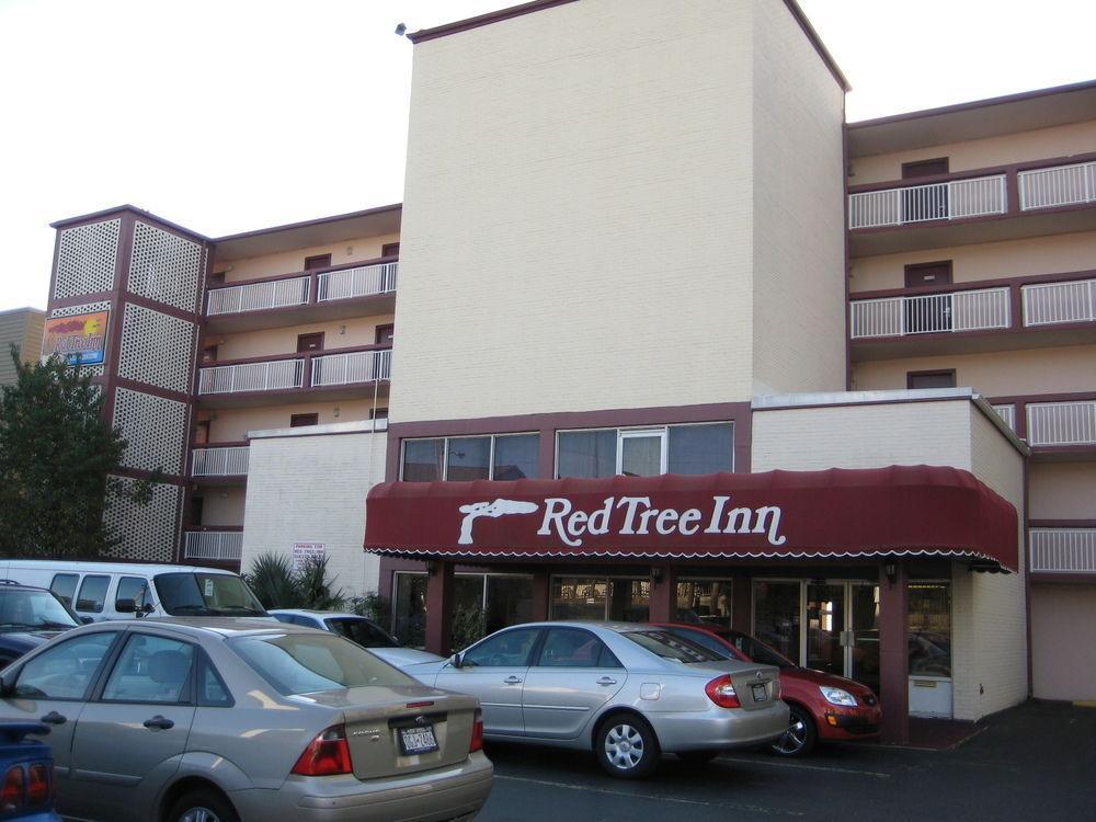 Oasis Hotel North Myrtle Beach Zewnętrze zdjęcie